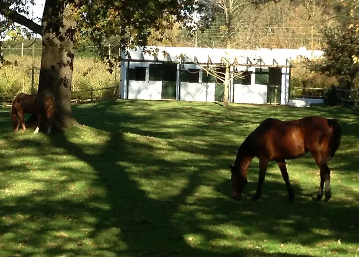 Vredenhof Farm Cottage
